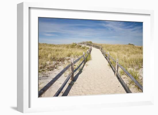 Dunes on Cape Cod National Sea Shore in Cape Cod, Boston, Usa--Framed Photographic Print