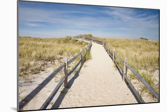 Dunes on Cape Cod National Sea Shore in Cape Cod, Boston, Usa-null-Mounted Photographic Print