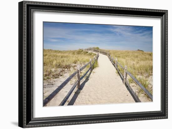 Dunes on Cape Cod National Sea Shore in Cape Cod, Boston, Usa-null-Framed Photographic Print