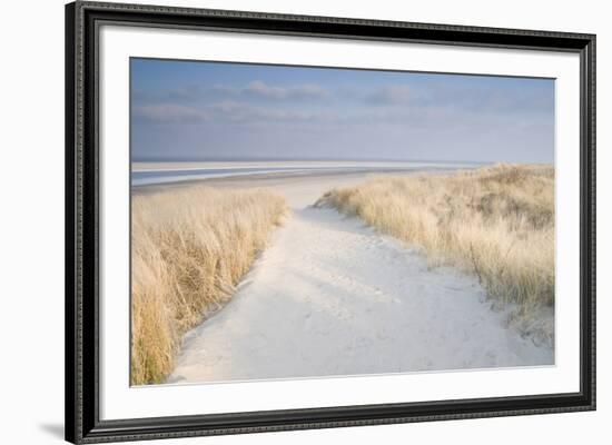 Dunes on Langeoog-Adam Brock-Framed Giclee Print