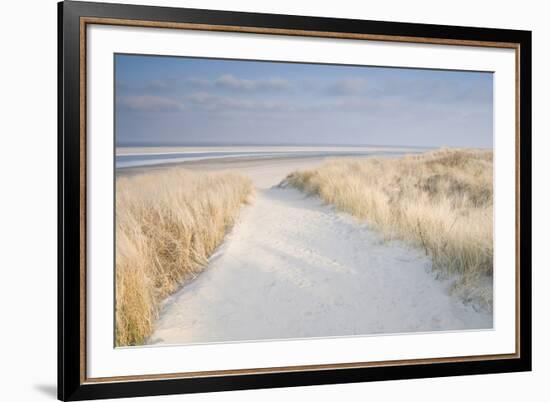 Dunes on Langeoog-Adam Brock-Framed Giclee Print