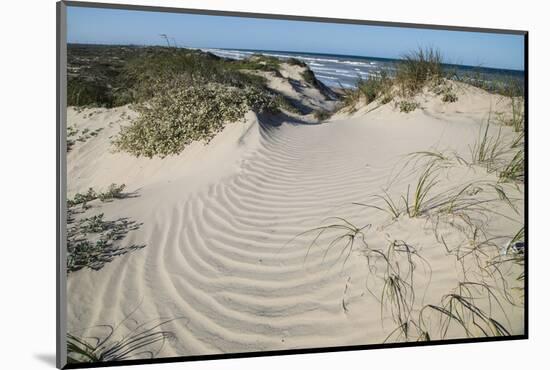 Dunes on South Padre Island.-Larry Ditto-Mounted Photographic Print