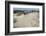 Dunes on South Padre Island.-Larry Ditto-Framed Photographic Print