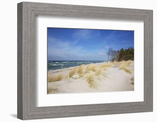 Dunes on the Western Beach of Darss Peninsula,-Uwe Steffens-Framed Photographic Print