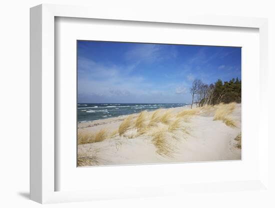 Dunes on the Western Beach of Darss Peninsula,-Uwe Steffens-Framed Photographic Print