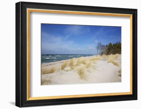 Dunes on the Western Beach of Darss Peninsula,-Uwe Steffens-Framed Photographic Print