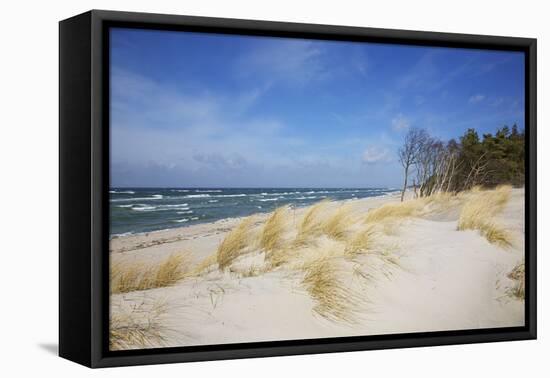 Dunes on the Western Beach of Darss Peninsula,-Uwe Steffens-Framed Premier Image Canvas