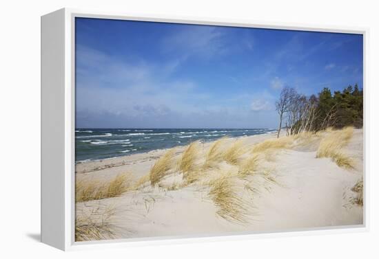 Dunes on the Western Beach of Darss Peninsula,-Uwe Steffens-Framed Premier Image Canvas