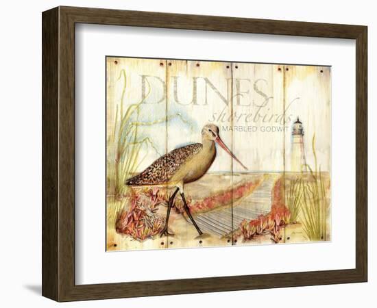 Dunes Shorebird-Mary Escobedo-Framed Art Print