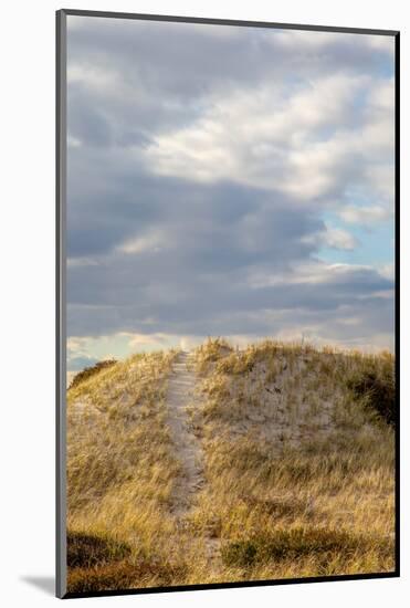 Dunes Trail-Brooke T. Ryan-Mounted Photographic Print