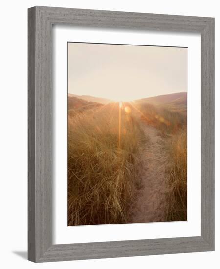Dunes with Seagulls 4-Ian Winstanley-Framed Photographic Print