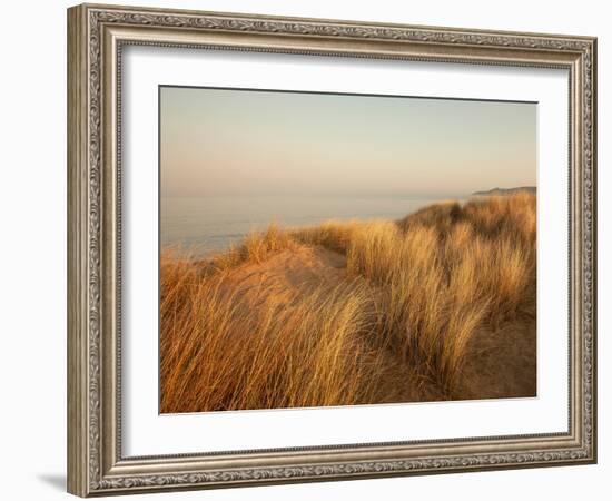 Dunes with Seagulls 7-Ian Winstanley-Framed Photographic Print