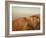 Dunes with Seagulls 7-Ian Winstanley-Framed Photographic Print