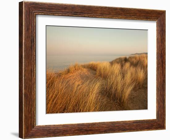 Dunes with Seagulls 7-Ian Winstanley-Framed Photographic Print