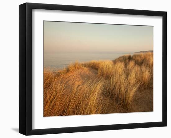 Dunes with Seagulls 7-Ian Winstanley-Framed Photographic Print