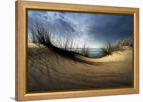 Dunes-Wim Schuurmans-Framed Premier Image Canvas