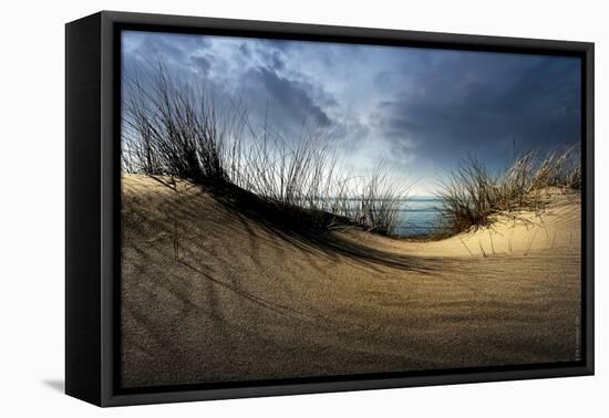 Dunes-Wim Schuurmans-Framed Premier Image Canvas