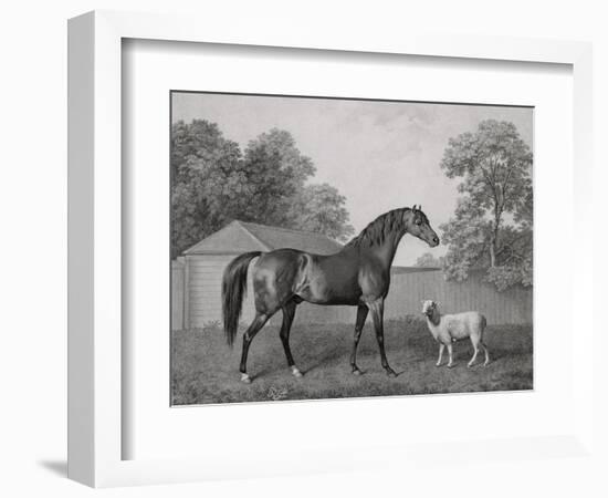 Dungannon, Engraved by George Townley Stubbs (1756-1815) Pub. 1794 (Etching)-George Stubbs-Framed Giclee Print