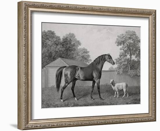 Dungannon, Engraved by George Townley Stubbs (1756-1815) Pub. 1794 (Etching)-George Stubbs-Framed Giclee Print