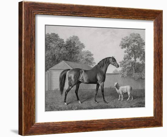 Dungannon, Engraved by George Townley Stubbs (1756-1815) Pub. 1794 (Etching)-George Stubbs-Framed Giclee Print