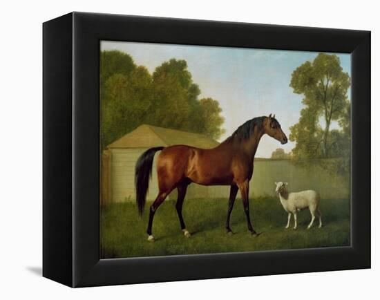 Dungannon, the Property of Colonel O'Kelly, Painted in a Paddock with a Sheep, 1793-George Stubbs-Framed Premier Image Canvas