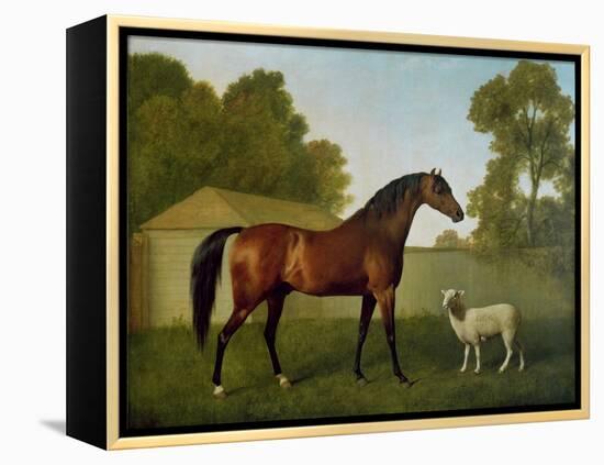 Dungannon, the Property of Colonel O'Kelly, Painted in a Paddock with a Sheep, 1793-George Stubbs-Framed Premier Image Canvas