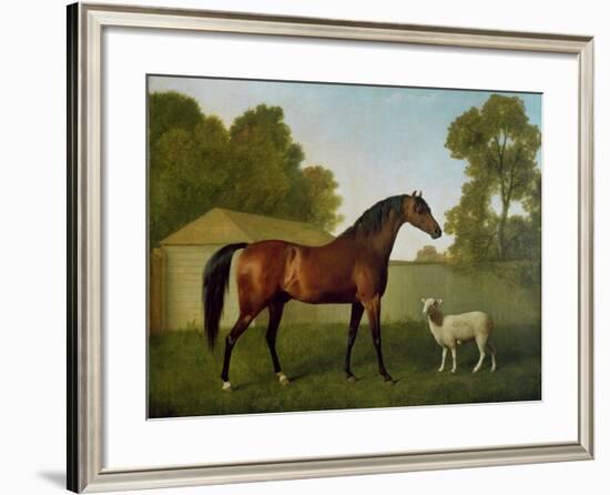 Dungannon, the Property of Colonel O'Kelly, Painted in a Paddock with a Sheep, 1793-George Stubbs-Framed Giclee Print