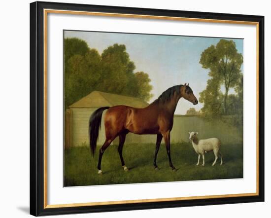 Dungannon, the Property of Colonel O'Kelly, Painted in a Paddock with a Sheep, 1793-George Stubbs-Framed Giclee Print