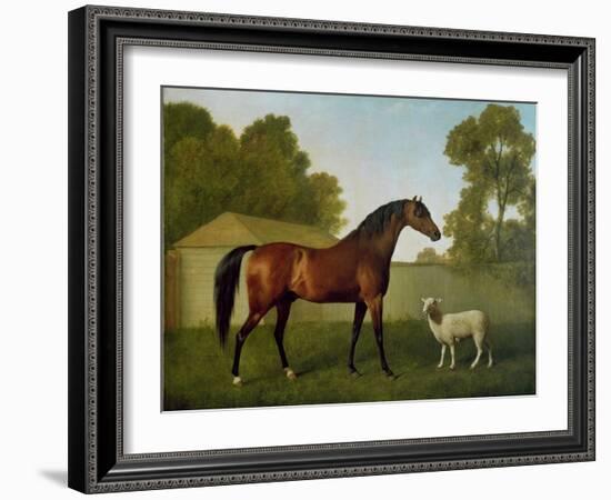 Dungannon, the Property of Colonel O'Kelly, Painted in a Paddock with a Sheep, 1793-George Stubbs-Framed Giclee Print