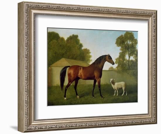 Dungannon, the Property of Colonel O'Kelly, Painted in a Paddock with a Sheep, 1793-George Stubbs-Framed Giclee Print