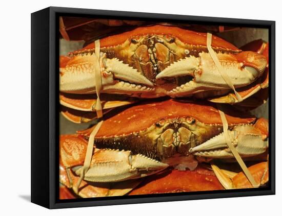 Dungeness Crab at Pike Place Public Market, Seattle, Washington State, USA-David Barnes-Framed Premier Image Canvas