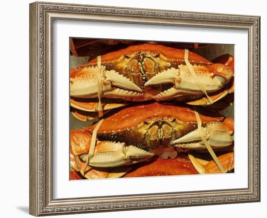 Dungeness Crab at Pike Place Public Market, Seattle, Washington State, USA-David Barnes-Framed Photographic Print