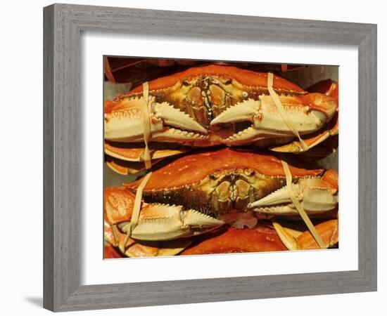 Dungeness Crab at Pike Place Public Market, Seattle, Washington State, USA-David Barnes-Framed Photographic Print