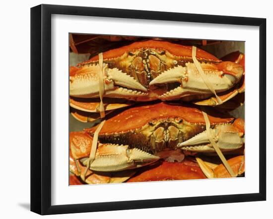 Dungeness Crab at Pike Place Public Market, Seattle, Washington State, USA-David Barnes-Framed Photographic Print