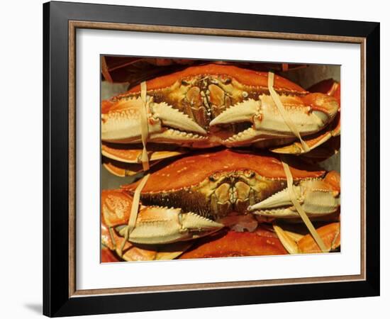 Dungeness Crab at Pike Place Public Market, Seattle, Washington State, USA-David Barnes-Framed Photographic Print