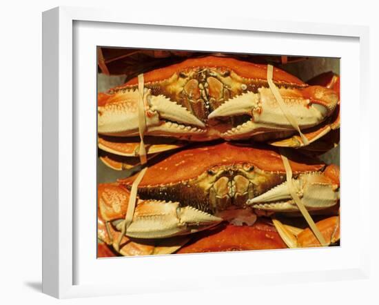 Dungeness Crab at Pike Place Public Market, Seattle, Washington State, USA-David Barnes-Framed Photographic Print