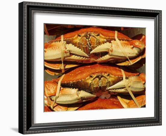 Dungeness Crab at Pike Place Public Market, Seattle, Washington State, USA-David Barnes-Framed Photographic Print