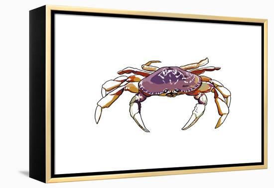 Dungeness Crab - Icon-Lantern Press-Framed Stretched Canvas