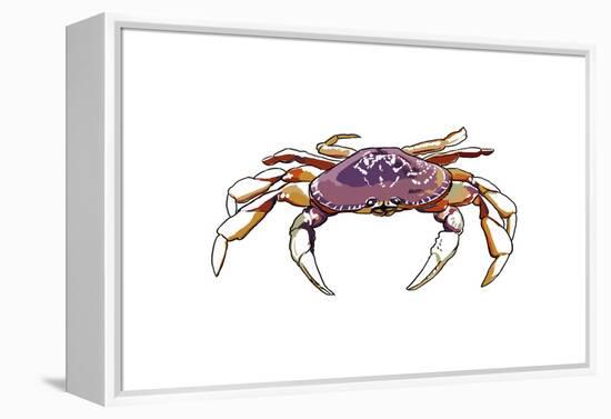 Dungeness Crab - Icon-Lantern Press-Framed Stretched Canvas