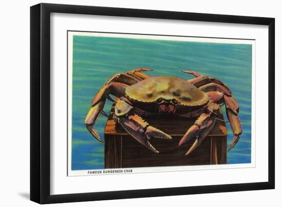 Dungeness Crab on Hood Canal - Hood Canal, WA-Lantern Press-Framed Premium Giclee Print