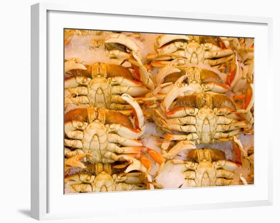 Dungeness Crab, Pike's Place Market, Seattle, Washington, USA-null-Framed Photographic Print