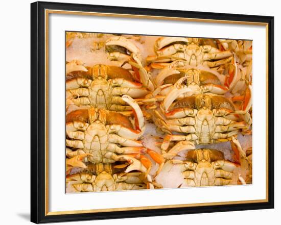 Dungeness Crab, Pike's Place Market, Seattle, Washington, USA-null-Framed Photographic Print