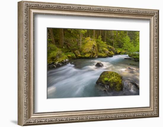 Dungeness River, Buckhorn Wilderness, Olympic NF, Washington, USA-Gary Luhm-Framed Photographic Print