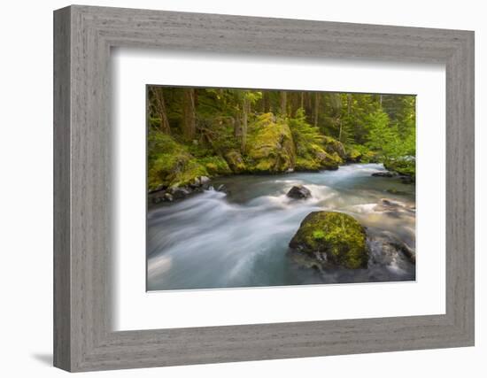 Dungeness River, Buckhorn Wilderness, Olympic NF, Washington, USA-Gary Luhm-Framed Photographic Print