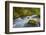 Dungeness River, Buckhorn Wilderness, Olympic NF, Washington, USA-Gary Luhm-Framed Photographic Print