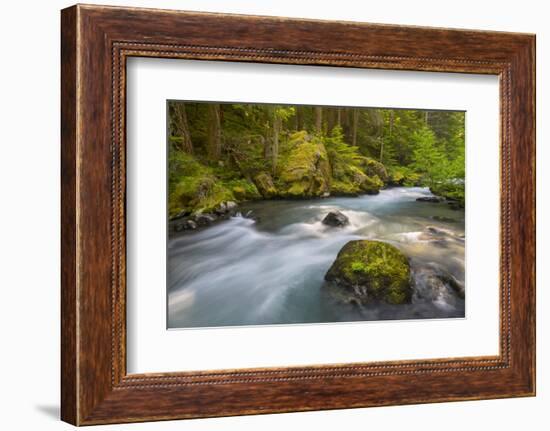 Dungeness River, Buckhorn Wilderness, Olympic NF, Washington, USA-Gary Luhm-Framed Photographic Print