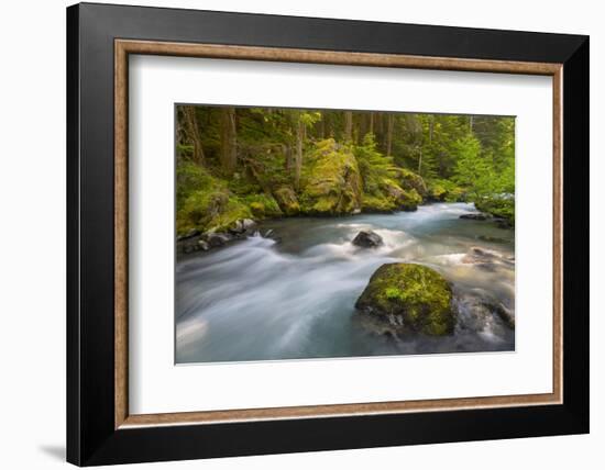 Dungeness River, Buckhorn Wilderness, Olympic NF, Washington, USA-Gary Luhm-Framed Photographic Print