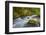 Dungeness River, Buckhorn Wilderness, Olympic NF, Washington, USA-Gary Luhm-Framed Photographic Print