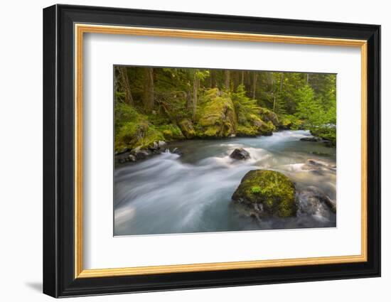 Dungeness River, Buckhorn Wilderness, Olympic NF, Washington, USA-Gary Luhm-Framed Photographic Print