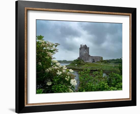 Dunguaire Castle, a famous landmark, is located on Galway Bay, Ireland.-Betty Sederquist-Framed Photographic Print